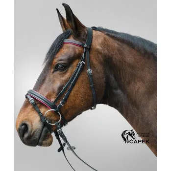 Uzdečka Star -DIAMOND- - Hnědá/Zlatá - Shetty