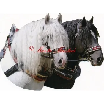 Samolepka českomoravský belgik Agy a Barbar hlavy, koně chladnokrevníci