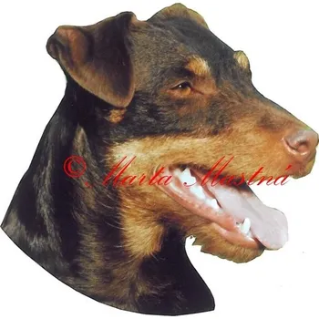 Samolepka jagdteriér hnědý 167