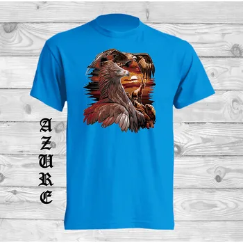 detske-levne-bavlnene-tricko-digitalni-potisk-orel-hory Barva: Azure - azurově modrá, velikost: 164