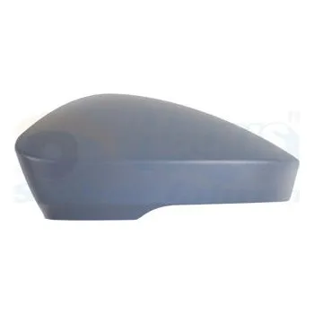 Auto zrcátko Kryt, vnejsi zrcatko VAN WEZEL 7643843