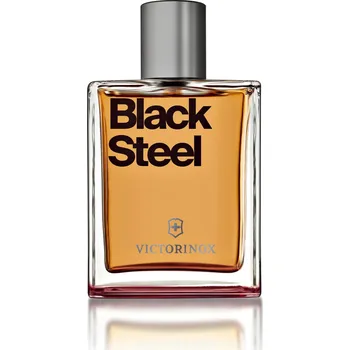 Pánský parfém Pánská toaletní voda Victorinox Black Steel 100ml V0000899