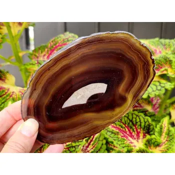 Přírodní kámen Achát leštěný hnědý plátek z Brazílie 104g