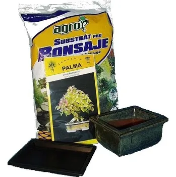 Semeno Kompletní sada na vypěstování Pinus Borovice