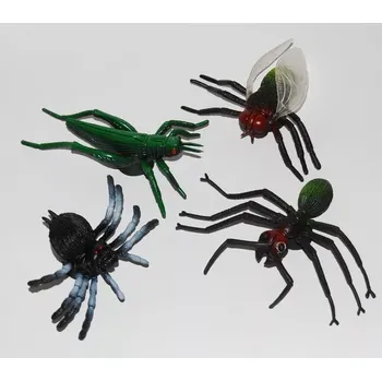 Hmyz - čtyři druhy