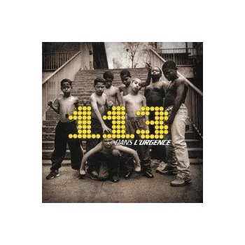 Hudba Dans L'urgence / Vinyl / 2LP - 113 [2 LP]