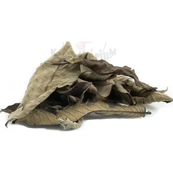 Dekorace do akvária Listy Guava 2 g