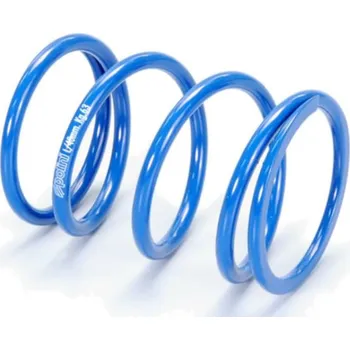 Motor pro motocykl Polini Kontrastní pružina Polini +26% 243.088