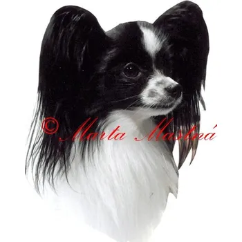 Samolepka papilon - motýlek - archiv 385