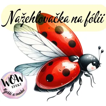 Nažehlovačky na fólii Nažehlovačka na fólii, BERUŠKA v letu, 5,7x5,8cm /ks