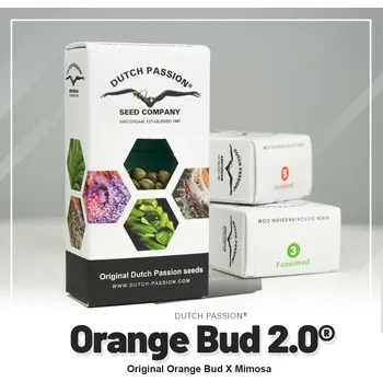 Semeno Orange Bud 2.0 – feminizovaná semena | Dutch Passion Feminized (Ks): 3 + 1 Zdarma