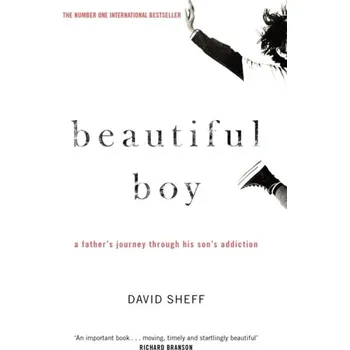 Beautiful Boy - David Sheff