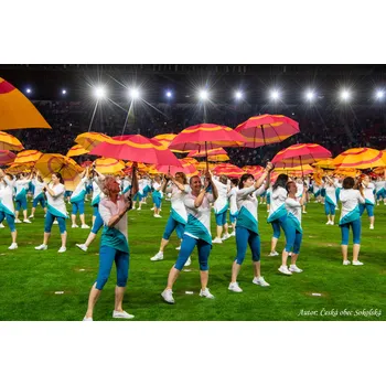 Deštník - barva vínová