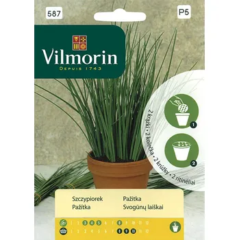 Semeno Pažitka (na výsevním kolečku)