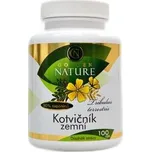 Kotvičník zemní 90% saponinů 100 kapslí