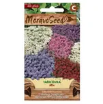 MoravoSeed Tařicovka přímořská Mix