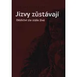 Jizvy zůstávají: Dědictví zla stále živé - Lubomír Vejražka (2018, pevná)