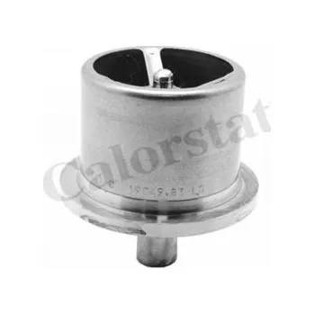 Chladič motoru Termostat RVI