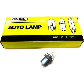 Autožárovka Žárovka 24V 1,2W B8,5d Celosklo plast.patice - tachografu DAF