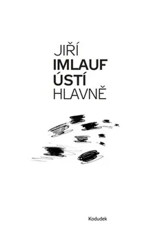 Ústí hlavně - Jiří Imlauf (2016, brožovaná)