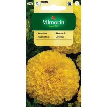 Semeno Aksamitník vzpřímený Lemon (žlutý)