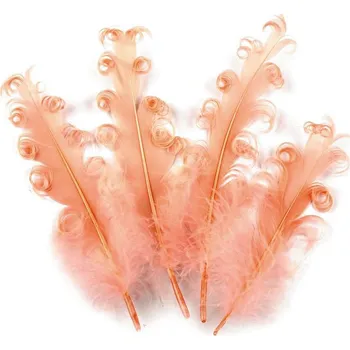 Výtvárné potřeby Husí peří kudrnaté délka 12-18 cm