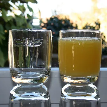 Sklenice Sklenička na vodu Libellules 28cl