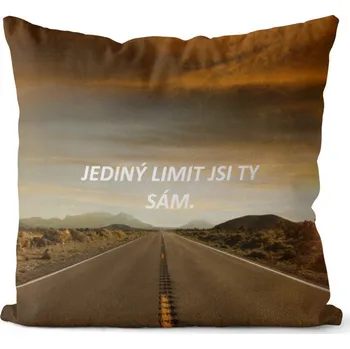 Dekorativní polštářek Polštář Jediný limit (Velikost: 40 x 40 cm)