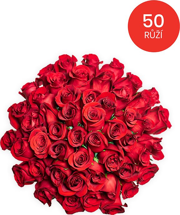 Rozvoz květin - 50 RŮŽÍ 70cm