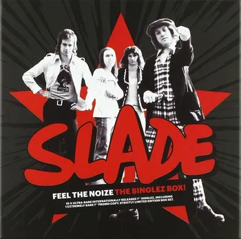 Zahraniční hudba Feel The Noize: The Singlez Box - Slade [10LP]