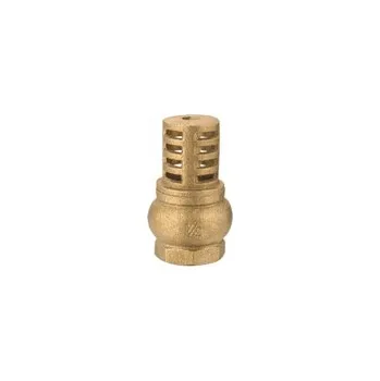 Příslušenství k čerpadlu Mosazný sací koš 1" s mosaznou klapkou