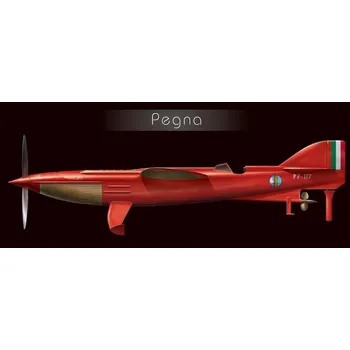 Plastikový model SBS - Piaggio PC7 Pegna, Model Kit 7025, 1/72
