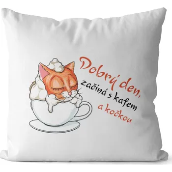 Dekorativní polštářek Polštář Dobrý den začíná s kočkou (Velikost: 40 x 40 cm)