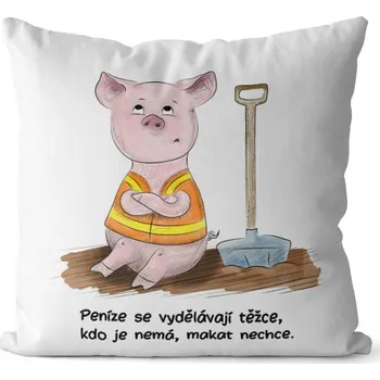 Dekorativní polštářek Polštář Makat nechce (Velikost: 40 x 40 cm)