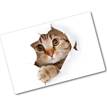Kuchyňské prkénko Kuchyňská deska skleněná Kočka