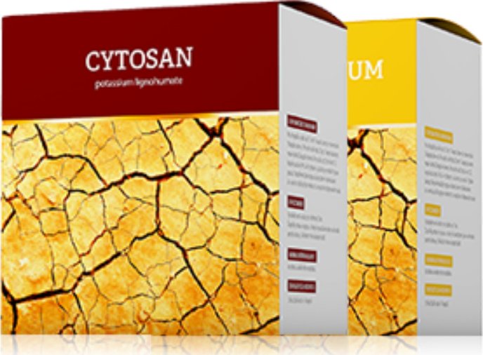 Energy Cytosan 90 kapslí + Cytosan Inovum 90 kapslí Detoxikace