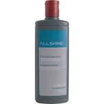 Čistič dřezů - tekutý Alveus AllShine 1083829