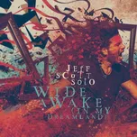 Wide Awake: In My Dreamland - Jeff…