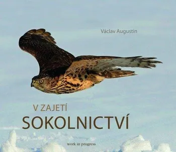 Kniha V zajetí sokolnictví - Václav Augustin (2013) [E-kniha]