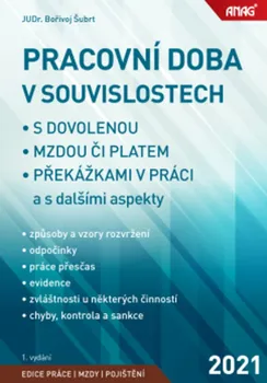 Pracovní doba v souvislostech s dovolenou, mzdou či platem, překážkami v práci a s dalšími aspekty - Bořivoj Šubrt (2020, brožovaná)