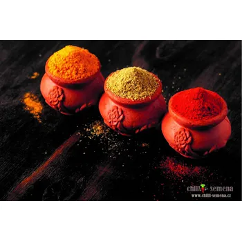 Koření chilli-semena Himalájská sůl s chilli Jalapeno a šalvějí