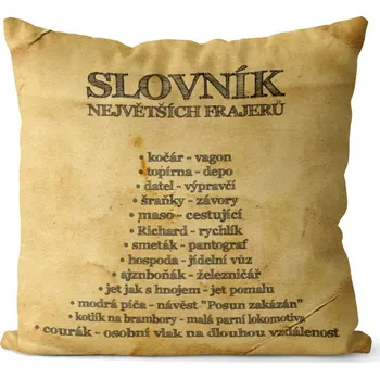 Dekorativní polštářek Polštář Slovník největších frajerů (Velikost: 40 x 40 cm)