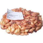 Vilmorin Sturon cibule sazečka 250 g