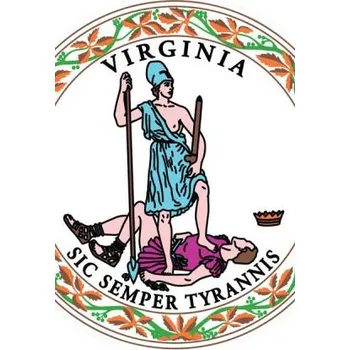 Vlajka Virginia 39500