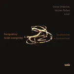 Perspektivy české energetiky: Současnost a budoucnost - Dana Drábová a kol. (2014, brožovaná)