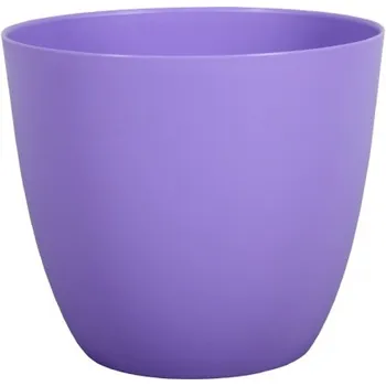 Nohel Garden Patricie 11 cm