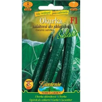 Semeno Nohelgarden Okurka salátová do skleníku SALADIN F1 - hybrid