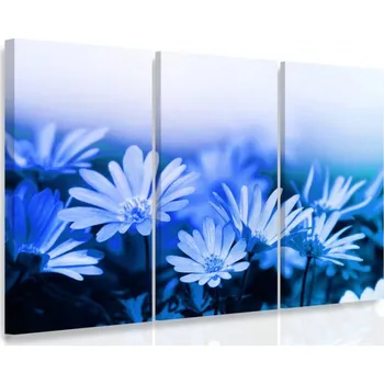 Malvis ® Vícedílný obraz - Modré kopretiny Velikost: 90x60 cm