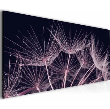 Malvis ® Obraz smetánka lékařská - fialová Velikost (šířka x výška): 80x45 cm