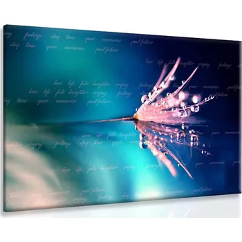 Malvis ® Obraz slova ve vodě Velikost: 100x50 cm